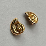 Clara shell 18k gold earrings front detailed photo sea